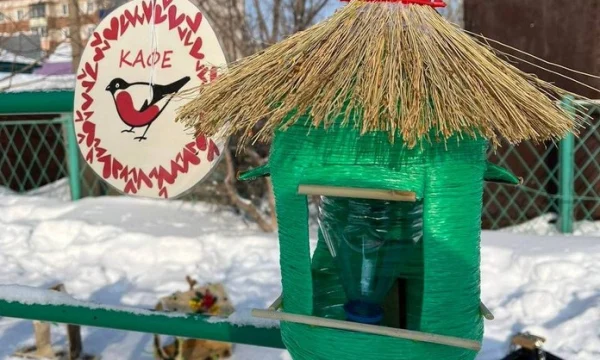 «Кафе для птиц» соорудили в тайшетском детском саду
