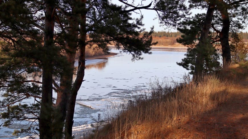 Предзимье на берегу Бирюсы