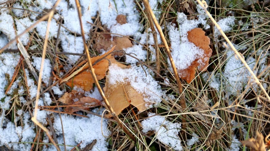 Предзимье на берегу Бирюсы