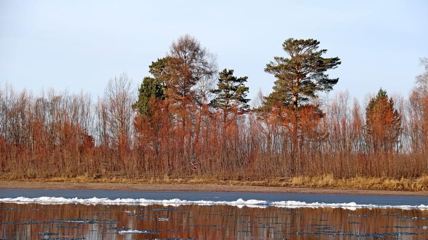 Предзимье на берегу Бирюсы